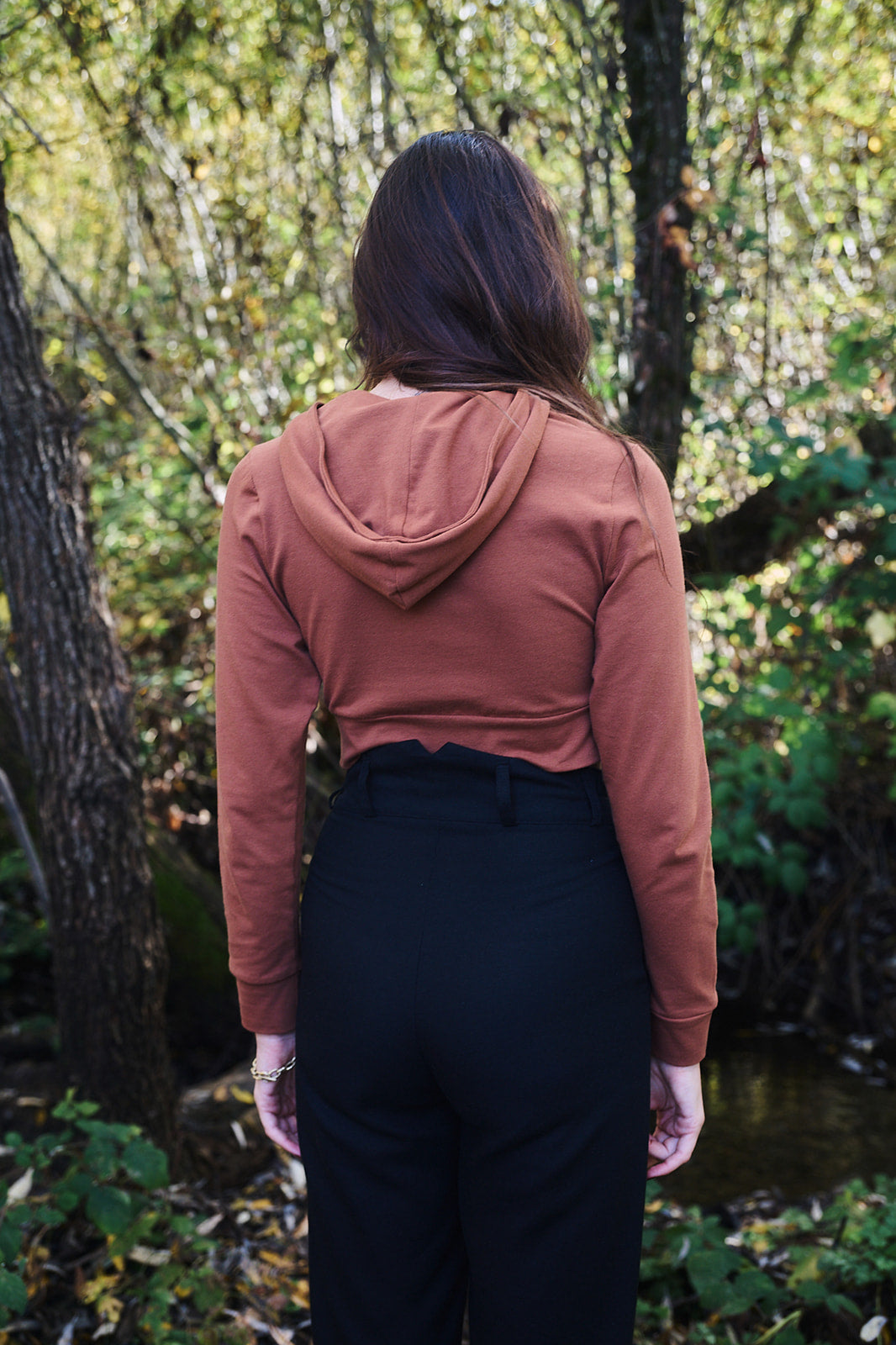 Cropped Hoodie In Sienna Brown