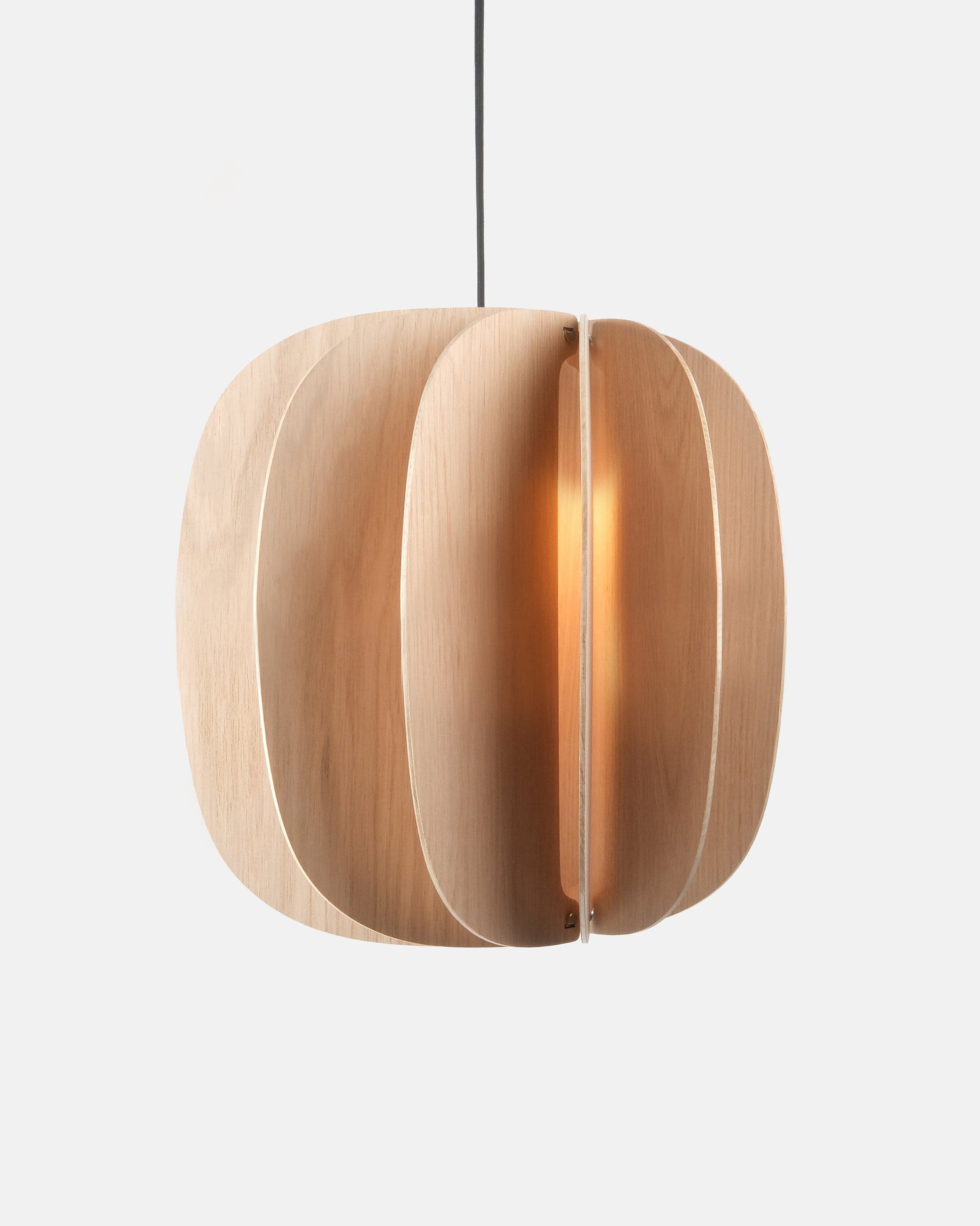 Misewell Lamps Fin II Pendant