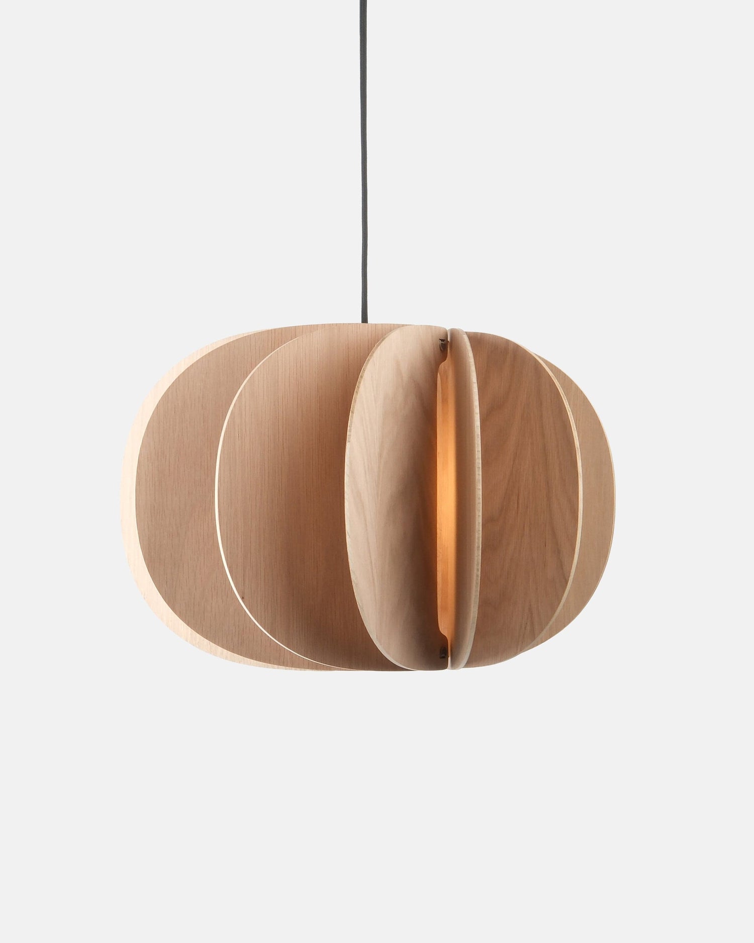Misewell Lamps Fin I Pendant