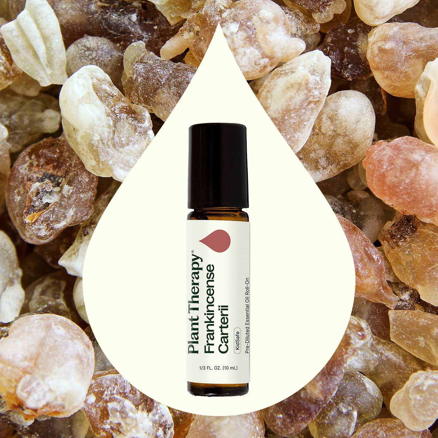 Plant Therapy Essential Oil 10 mL Frankincense Carterii Essential Oil Pre-Diluted Roll-On