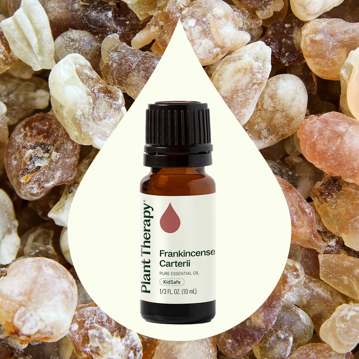Frankincense Carterii Essential Oil