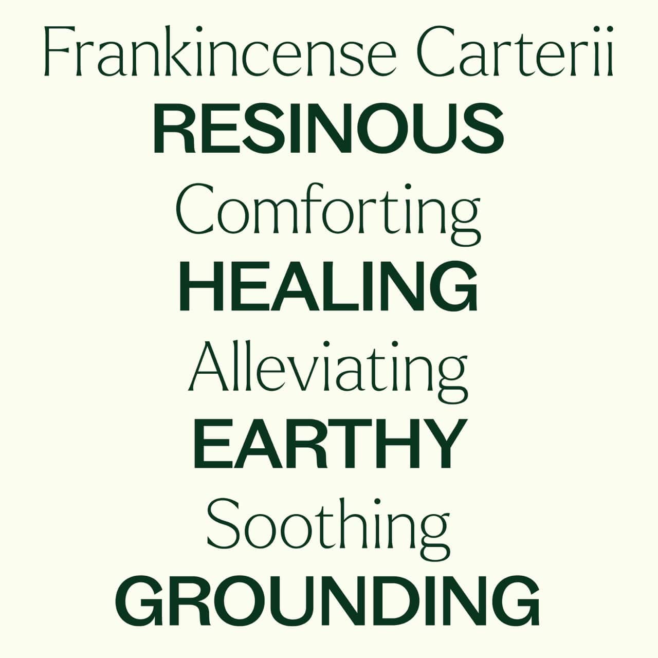Plant Therapy Essential Oil Frankincense Carterii Essential Oil