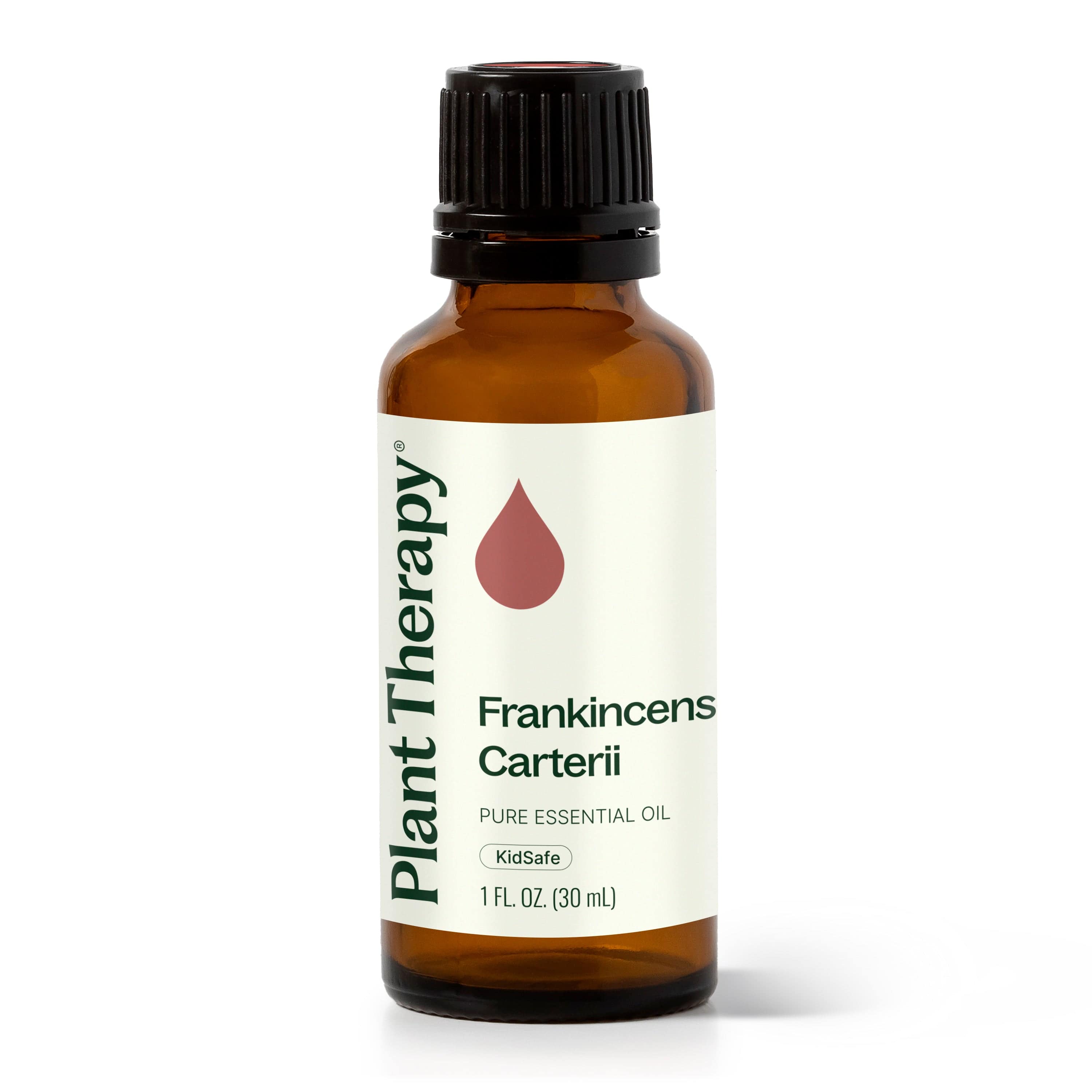 Plant Therapy Essential Oil 30 mL Frankincense Carterii Essential Oil