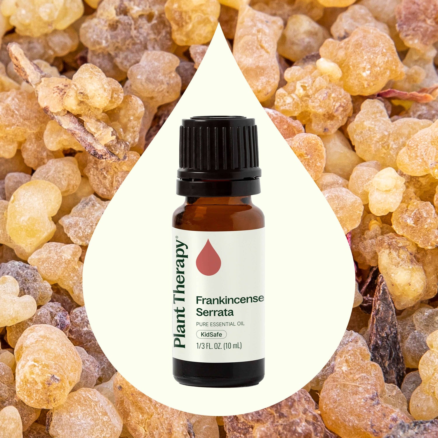 Plant Therapy Essential Oil Frankincense Serrata Essential Oil