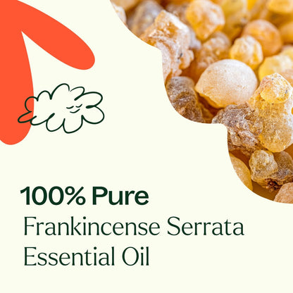 Plant Therapy Essential Oil Frankincense Serrata Essential Oil