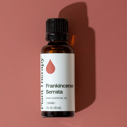 Plant Therapy Essential Oil Frankincense Serrata Essential Oil