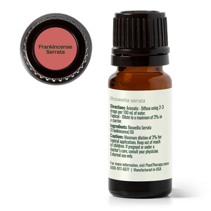 Plant Therapy Essential Oil Frankincense Serrata Essential Oil