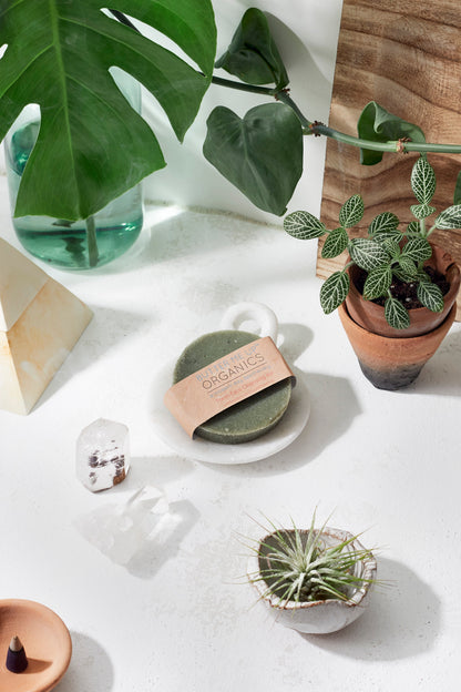 French Green Sea Clay Facial Bar