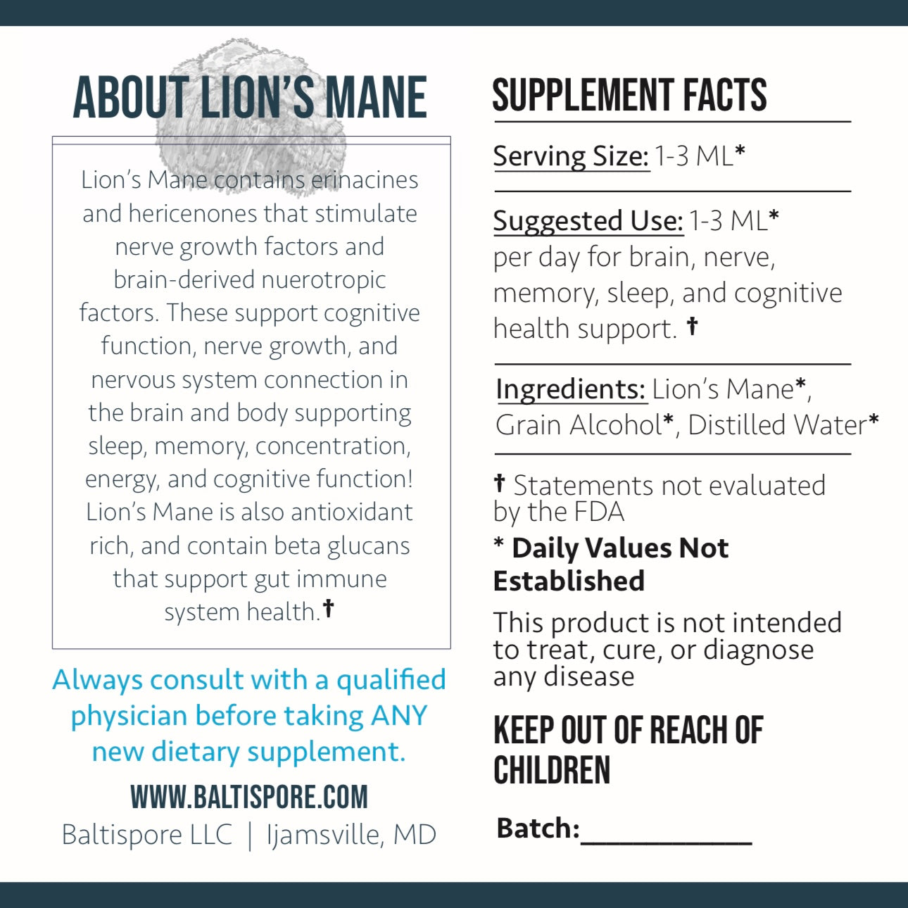 Lion’s Mane Mushroom Tincture - My American Goods