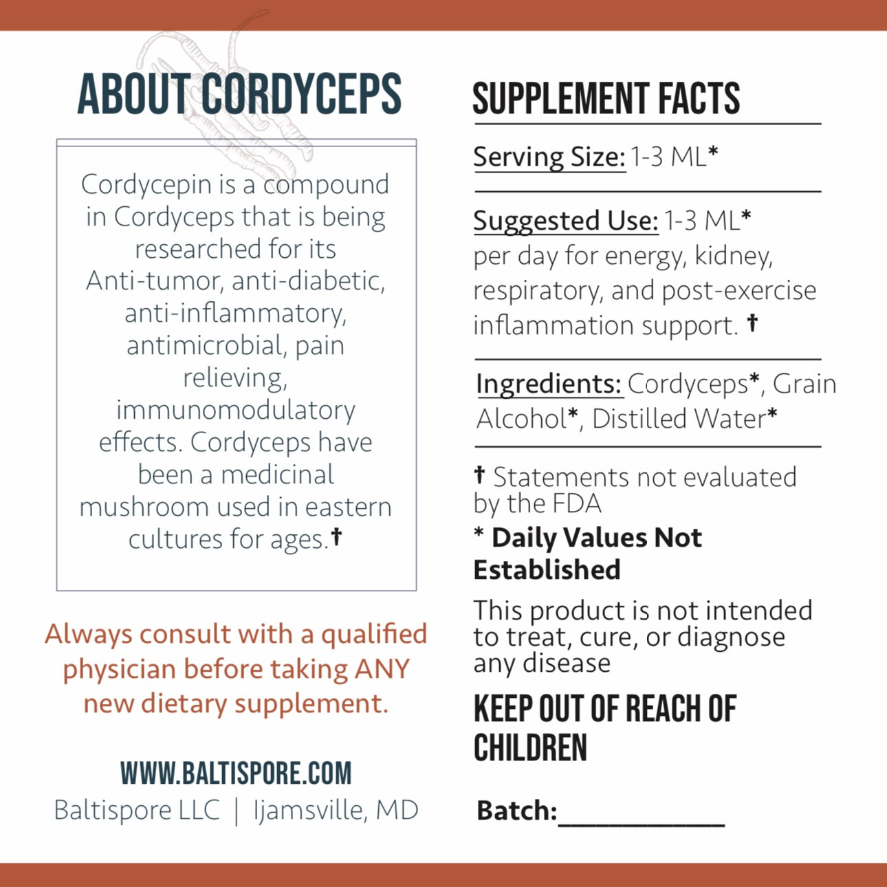 Cordyceps Mushroom Tincture - My American Goods