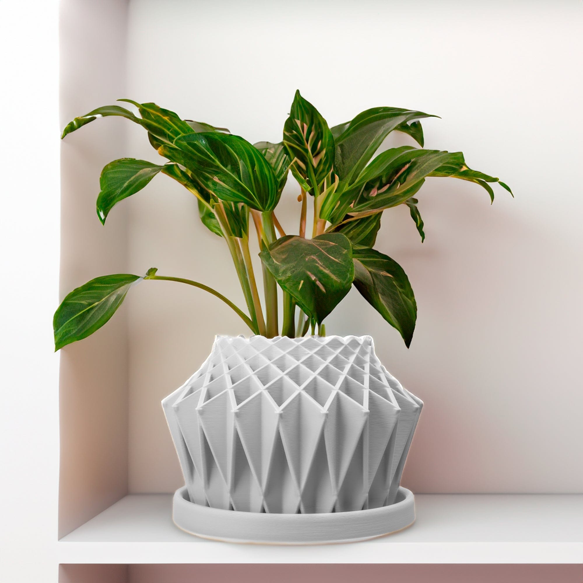 Rosebud HomeGoods Pots &amp; Planters White / 4 Inch - No Tray Galaxy Groove Plant Pot