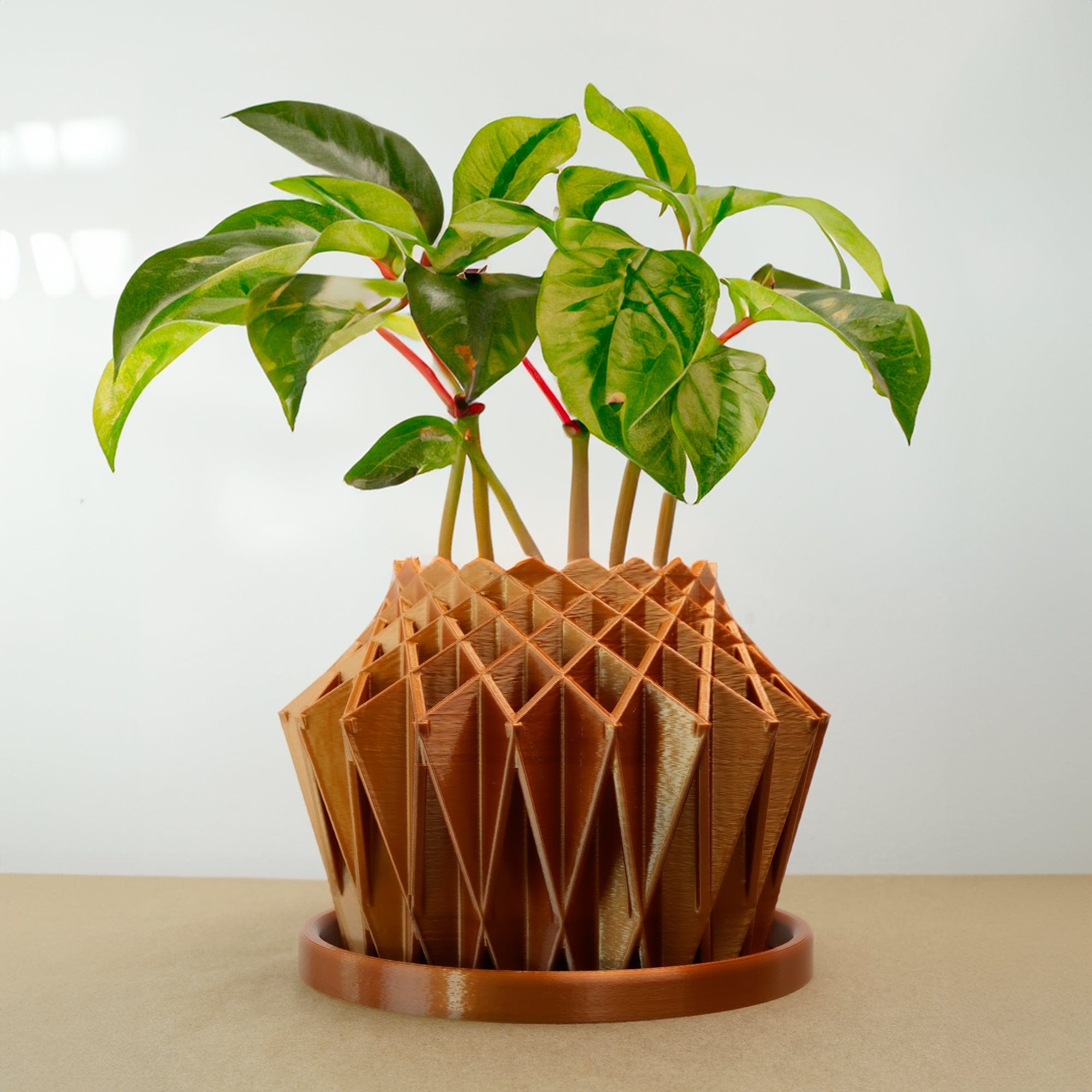Rosebud HomeGoods Pots &amp; Planters Copper / 4 Inch - No Tray Galaxy Groove Plant Pot