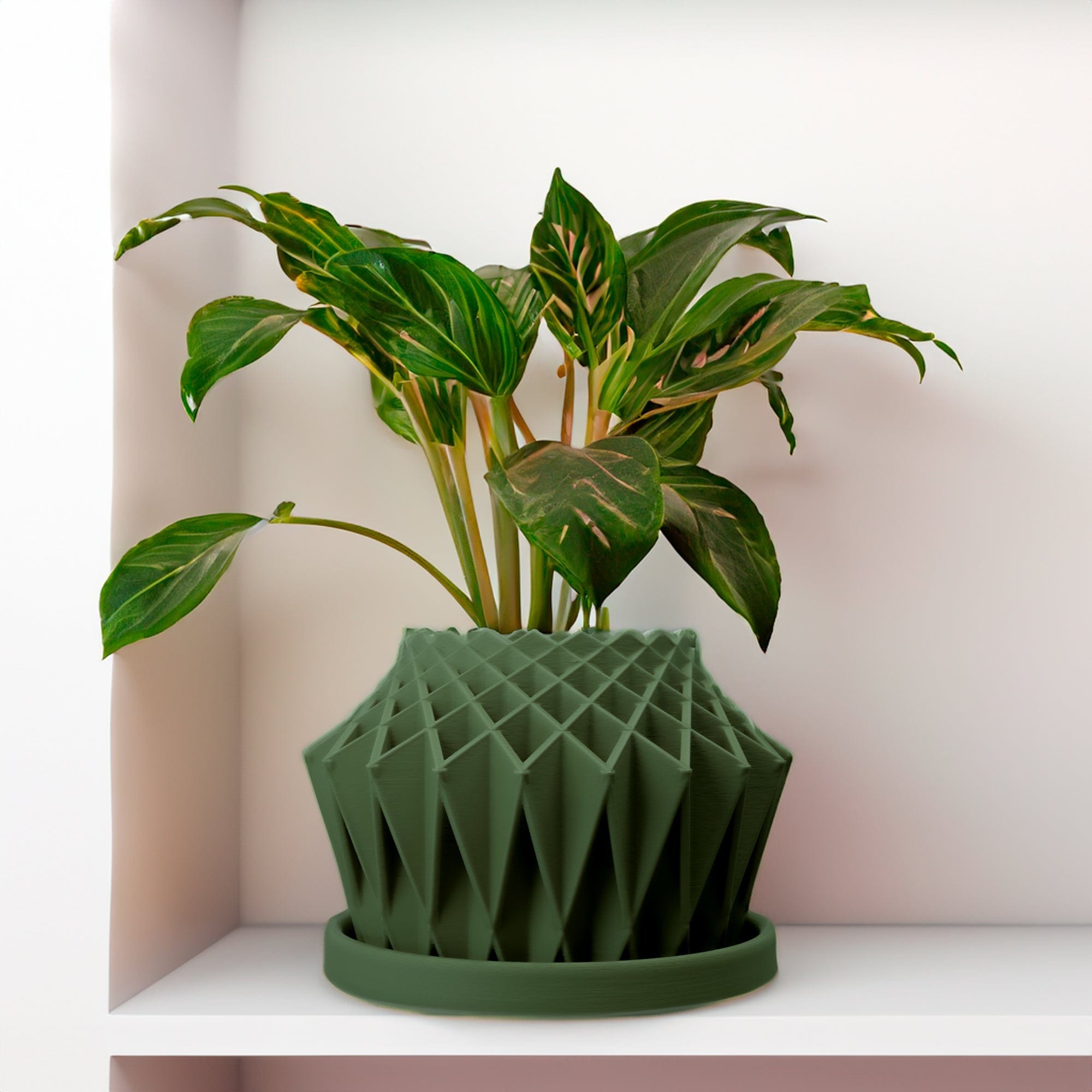 Rosebud HomeGoods Pots &amp; Planters Green / 4 Inch - No Tray Galaxy Groove Plant Pot