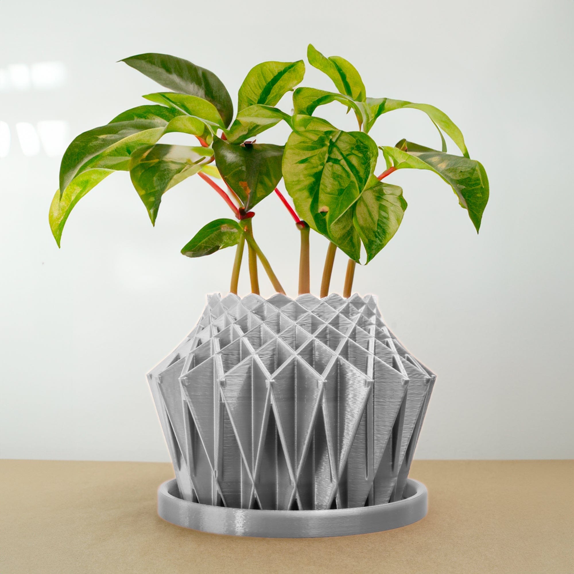 Rosebud HomeGoods Pots &amp; Planters Silver / 4 Inch - No Tray Galaxy Groove Plant Pot