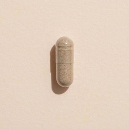 Ginkgo Biloba Herbal Supplement - 120 Capsules - My American Goods