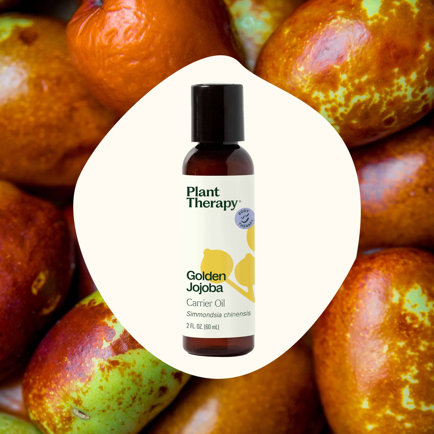 Plant Therapy Body Care Golden Jojoba Carrier Oil