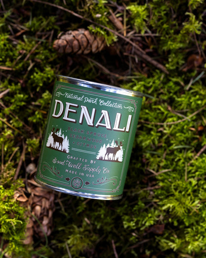 Denali National Park Candle - My American Goods