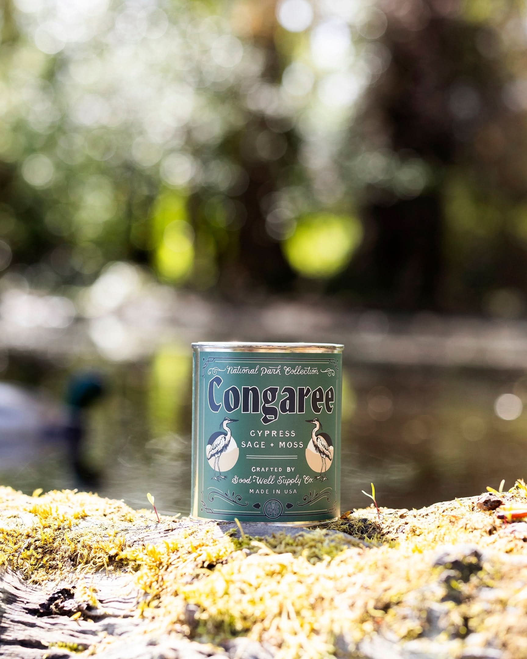 Good &amp; Well Supply Co Candles Congaree National Park Candle