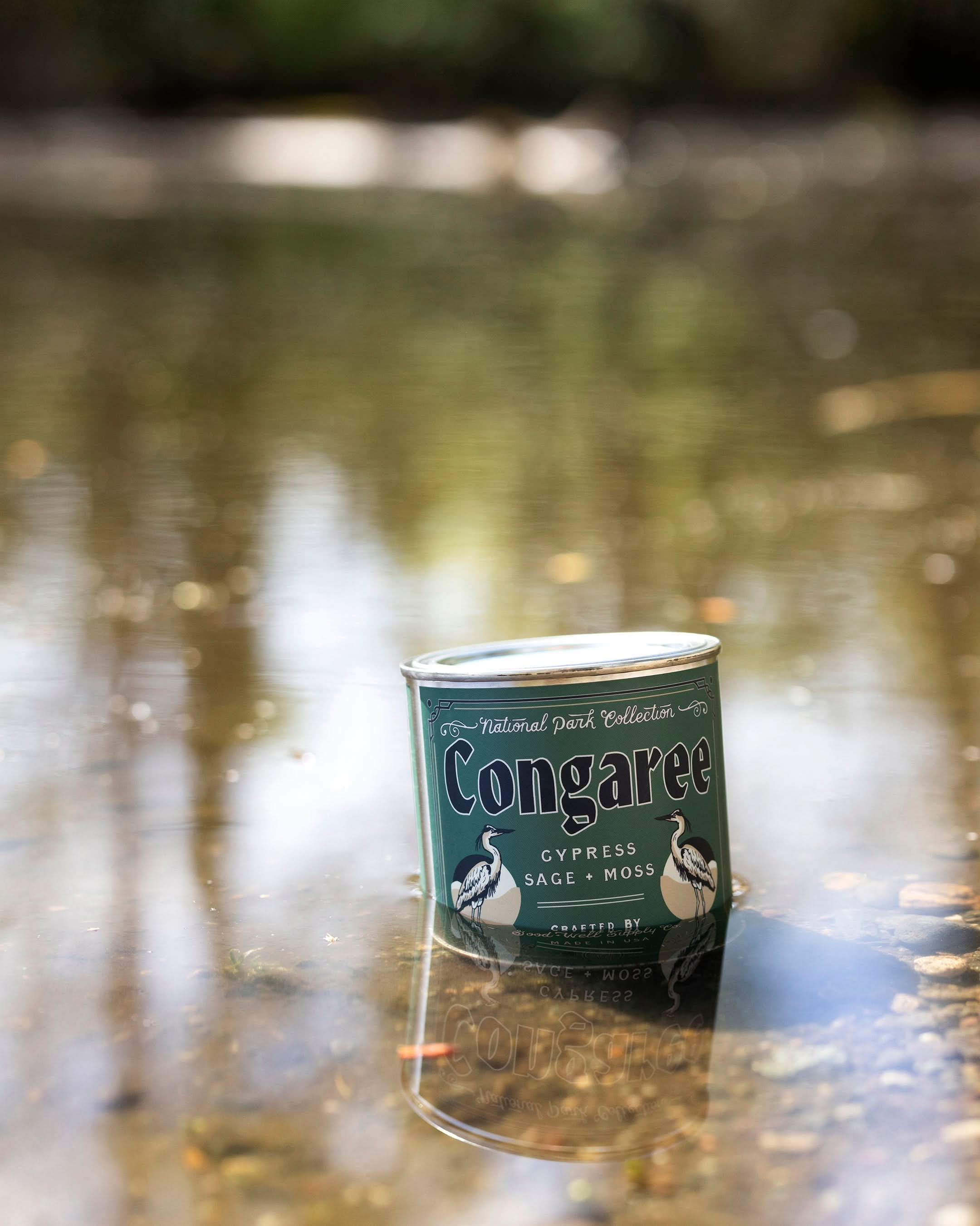 Good &amp; Well Supply Co Candles Congaree National Park Candle