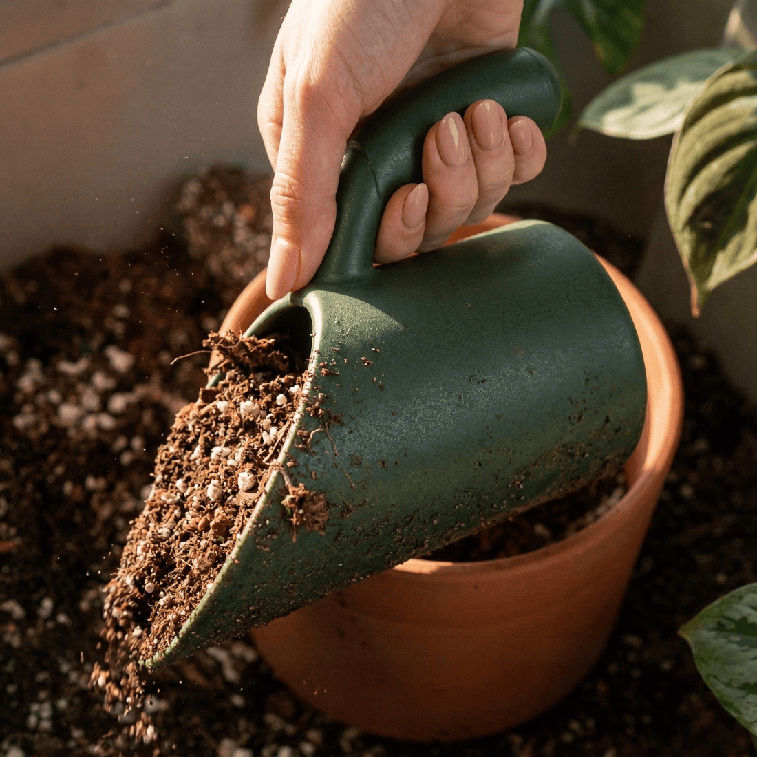 Rosebud HomeGoods Lawn &amp; Garden Green / Regular Plant Soil Scoop