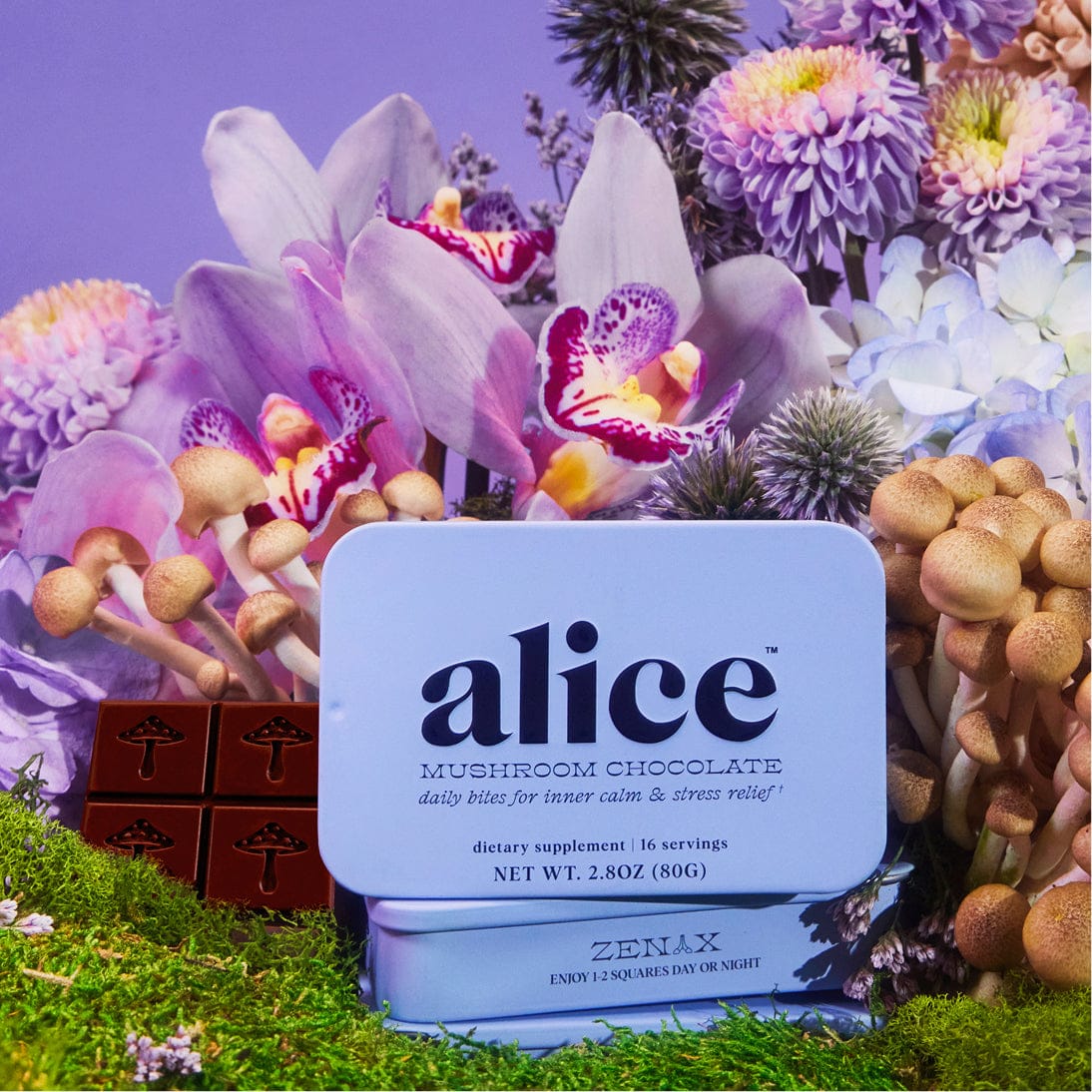 alice mushrooms Vitamins &amp; Supplements Zen-X Functional Mushroom Chocolates