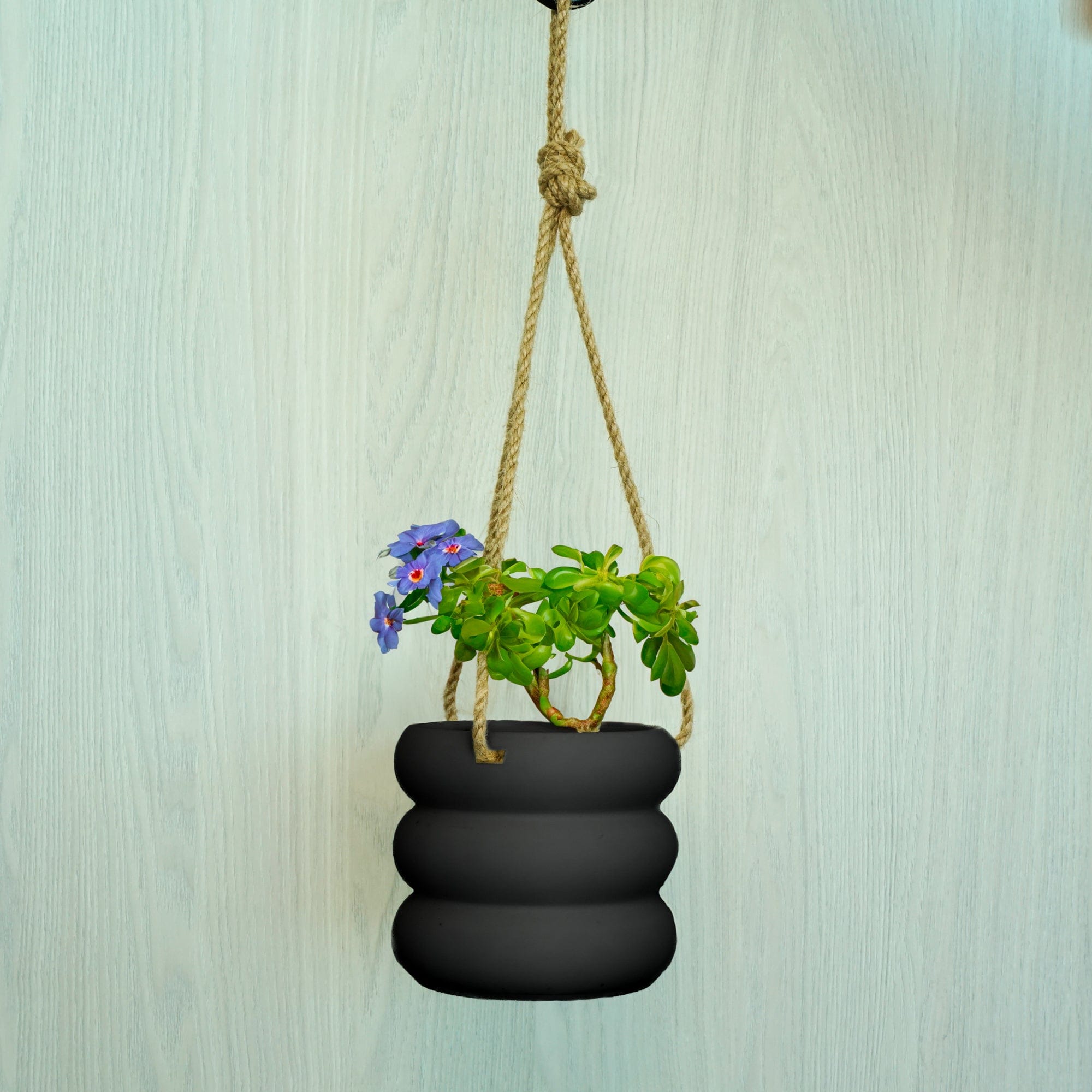 Rosebud HomeGoods Hanging Bubble Plant Pot