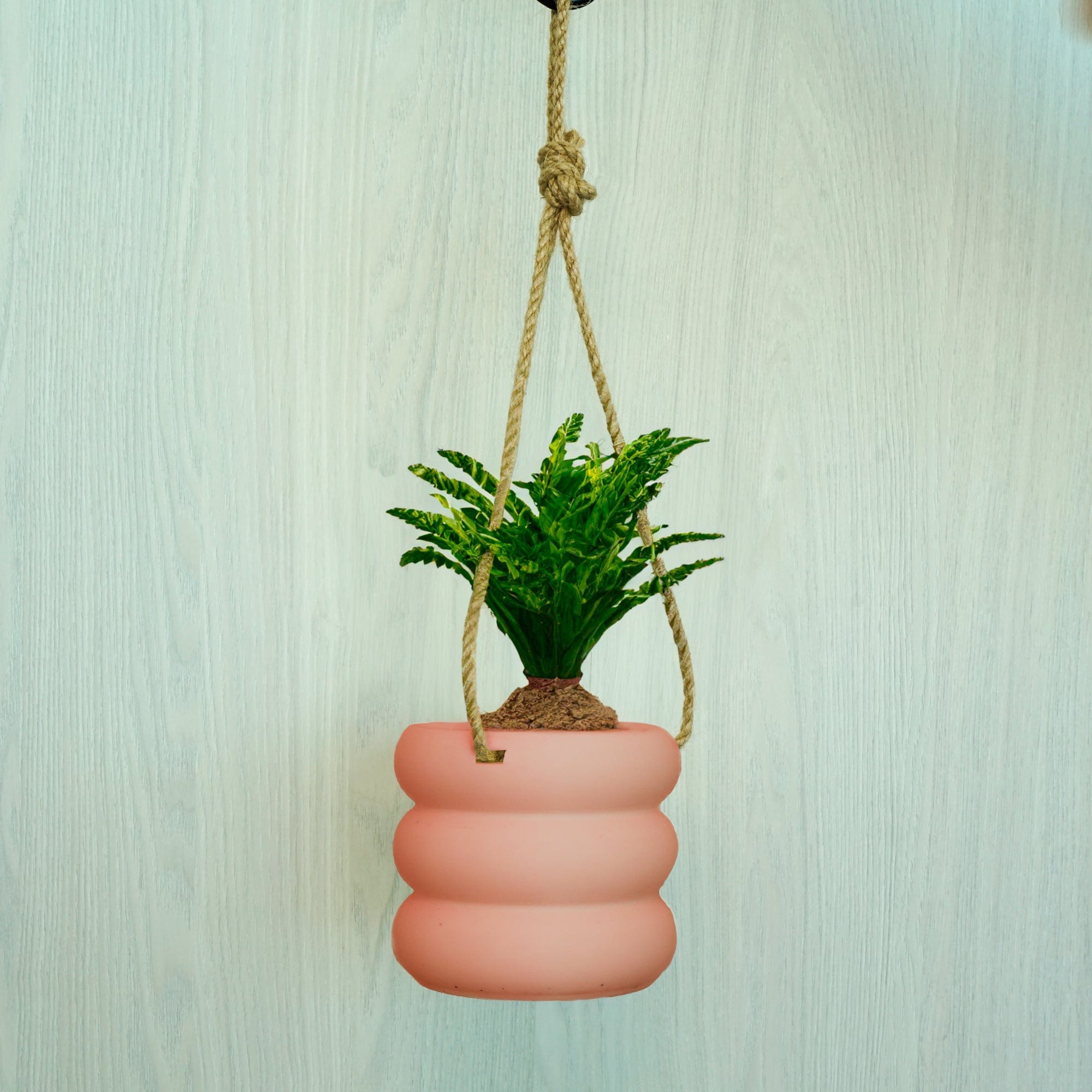 Rosebud HomeGoods Hanging Bubble Plant Pot