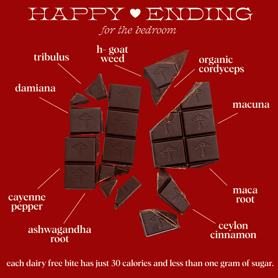 alice mushrooms Vitamins &amp; Supplements Happy Ending Functional Mushroom Chocolates