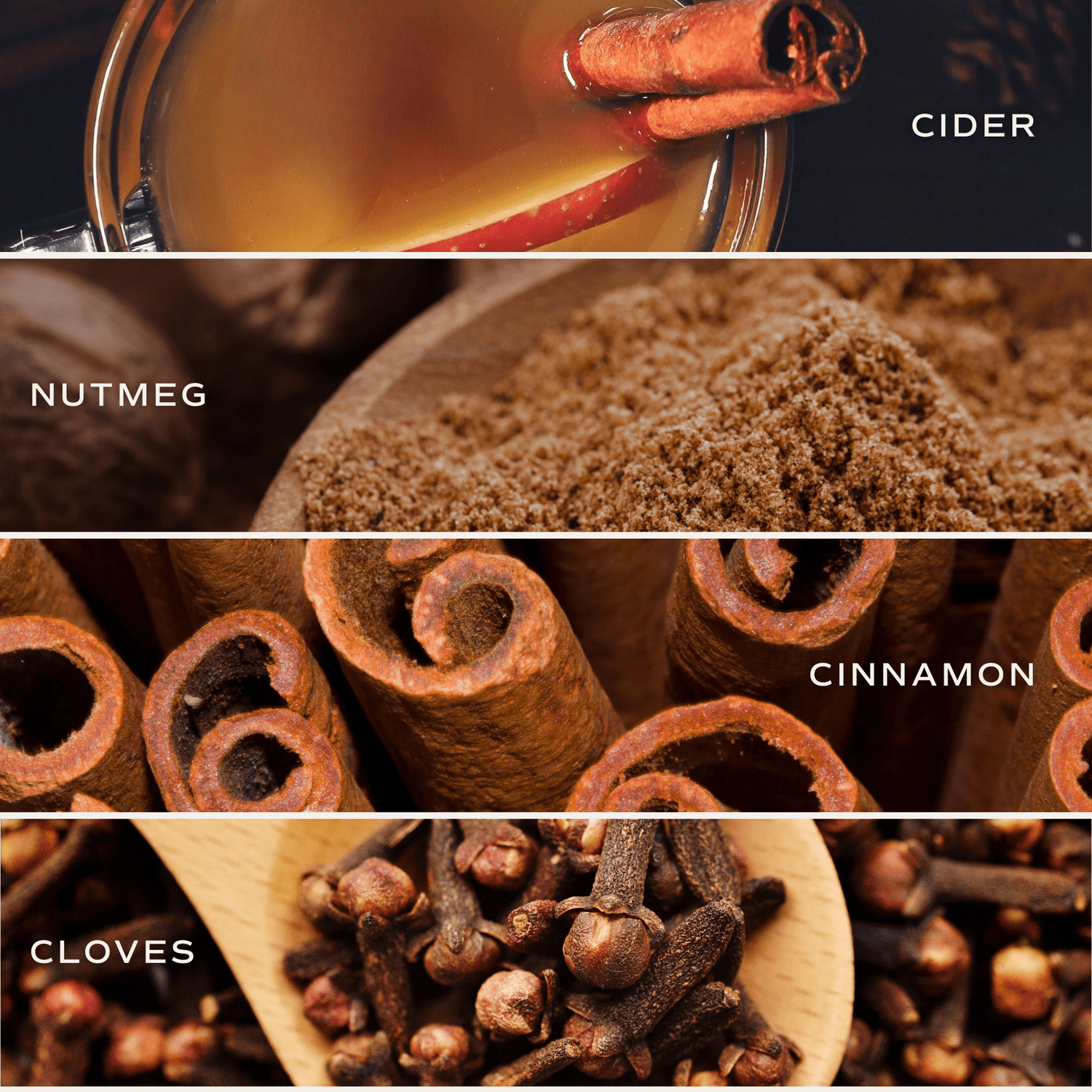 Hello Fall Amber Reed Diffuser