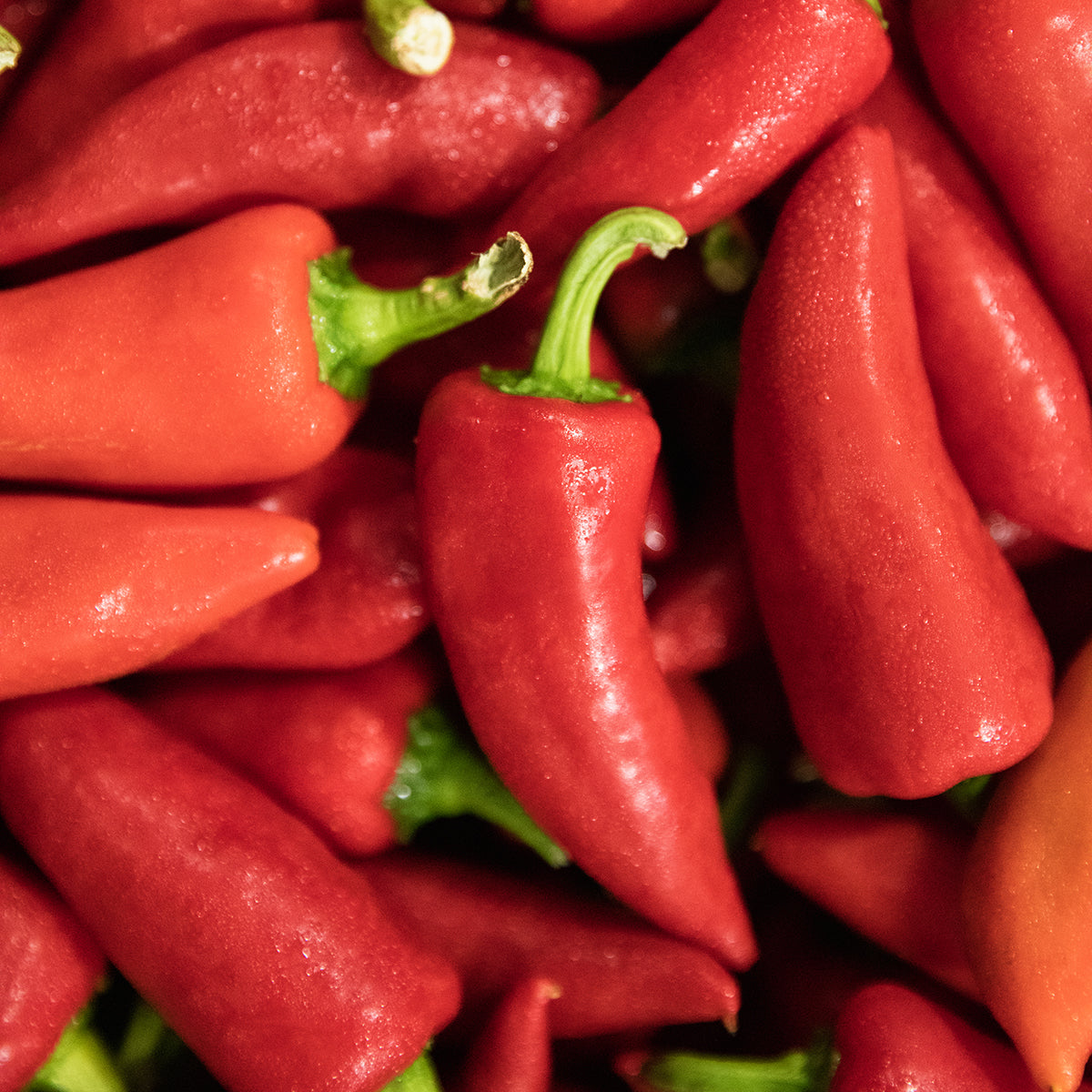 Fresno &amp; Thai Spicy Chili Jam