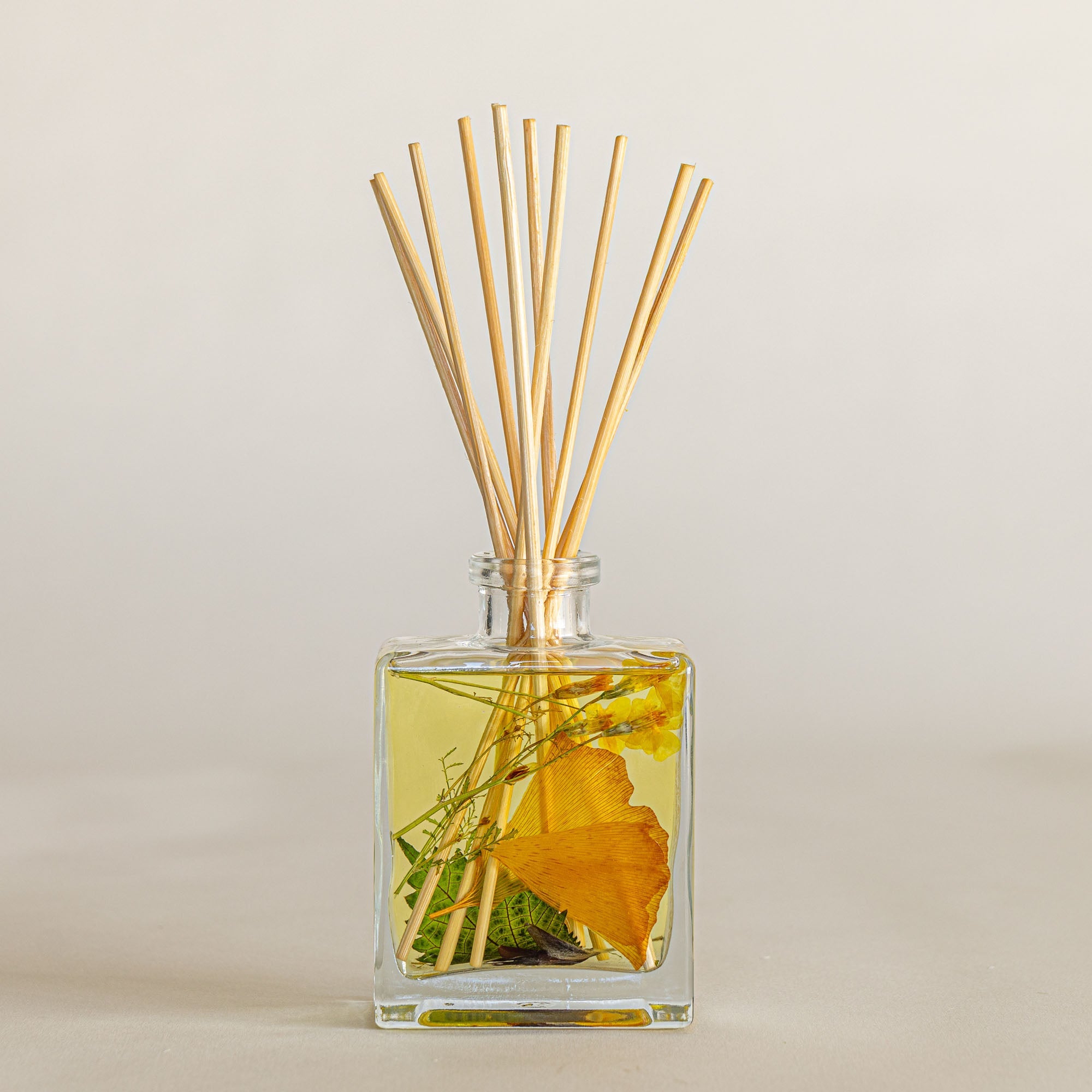 Accent Botanical Reed Diffuser - Harvest Pumpkin