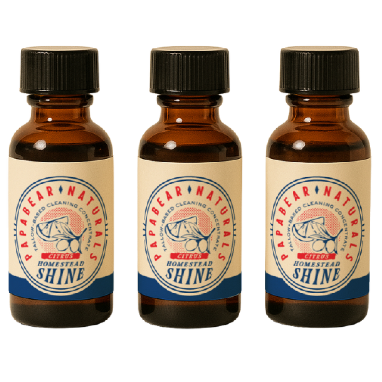 Homestead Shine Cleaning Concentrate - 1 oz (3 Pack)