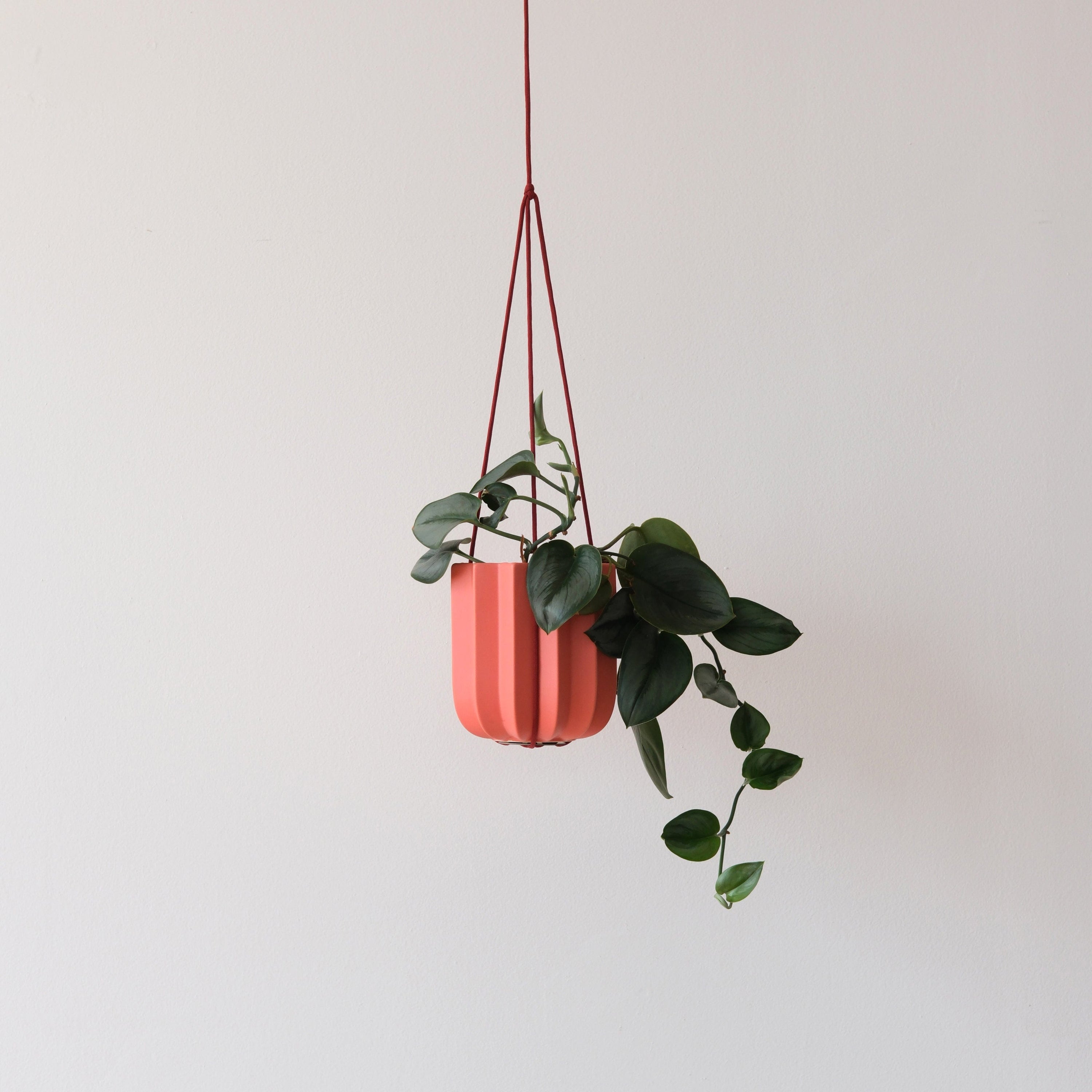 Misewell Wrap Hanging Kit