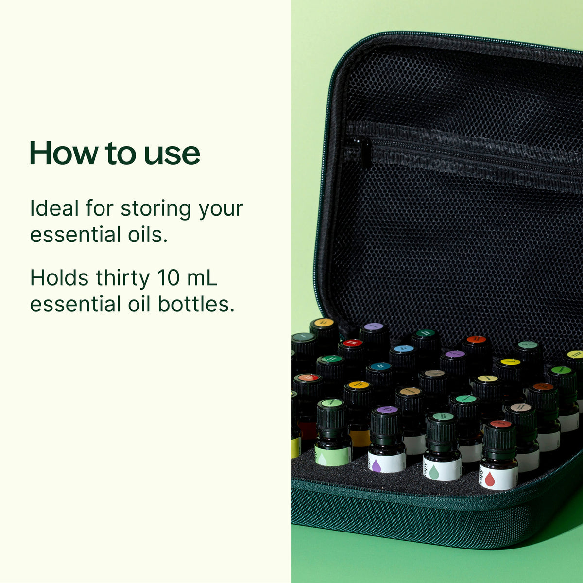Hard-Top Carrying Case Large Dark Green (30 Count)