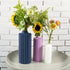 Rosebud HomeGoods Vases Haute Top Floral Vase – Modern Vase for Flowers, Mother’s Day Gift, Aesthetic Home Decor, 3 Sizes, Bold Colors, Unique Vase for Living Room
