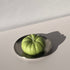 Scandles Farmers Markets Heirloom Tomato Candle - Green