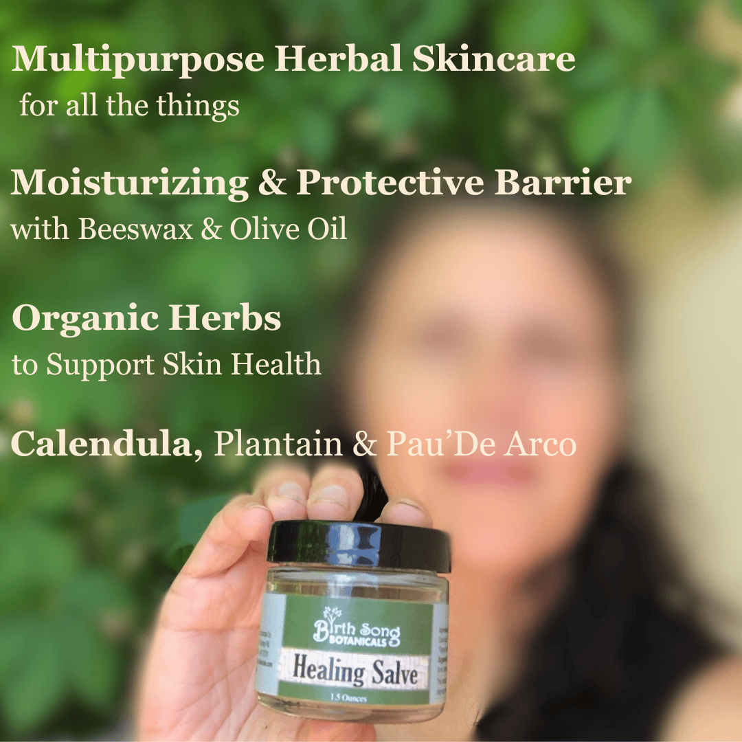 Birth Song Botanicals Co. Skin Care Default Herbal Salve with Calendula &amp; Plantain – Multi-Purpose Skin Balm (1.5 oz)
