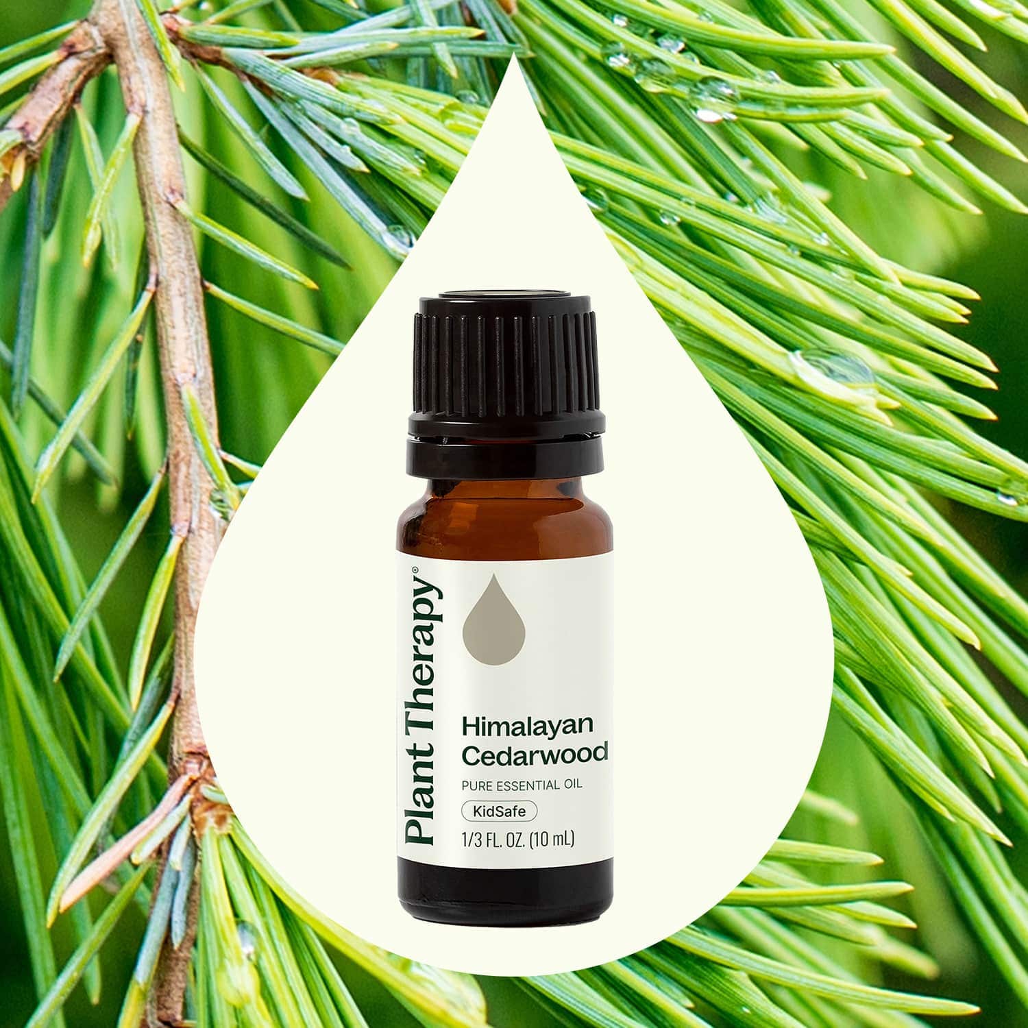 Plant Therapy Essential Oil Himalayan Cedarwood Essential Oil