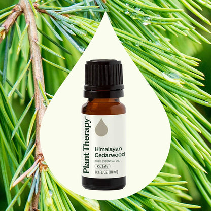 Himalayan Cedarwood Essential Oil
