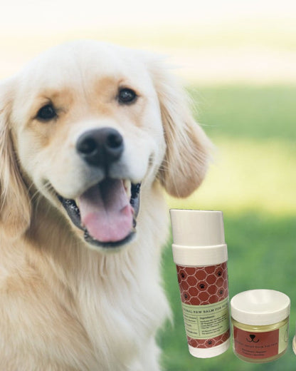 Pet Pampering Gift Box -All-Natural Pet Wellness Kit – Soothing Balms &amp; Herbal Coat Powder - My American Goods