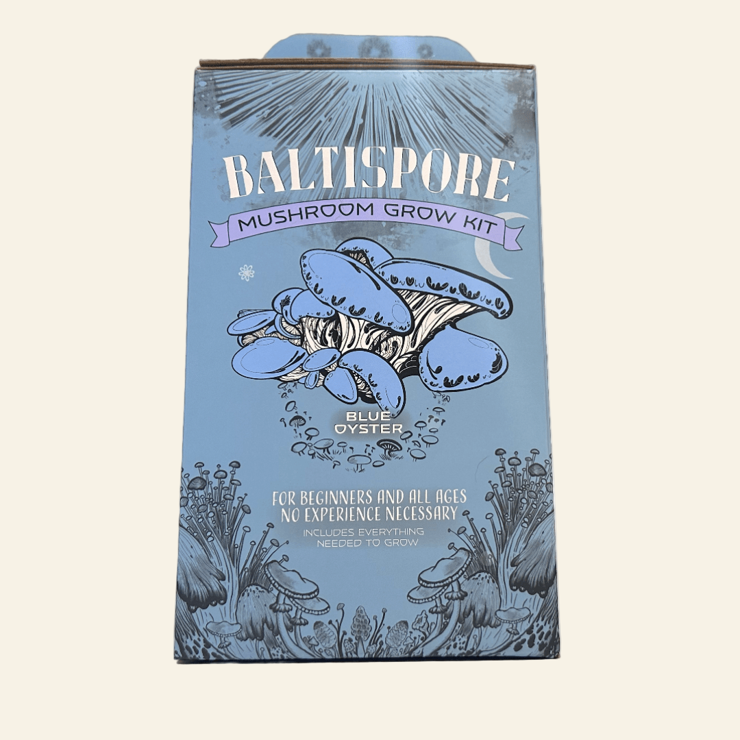 Baltispore mushroom grow kit packaging with blue oyster mushrooms illustration on a white background