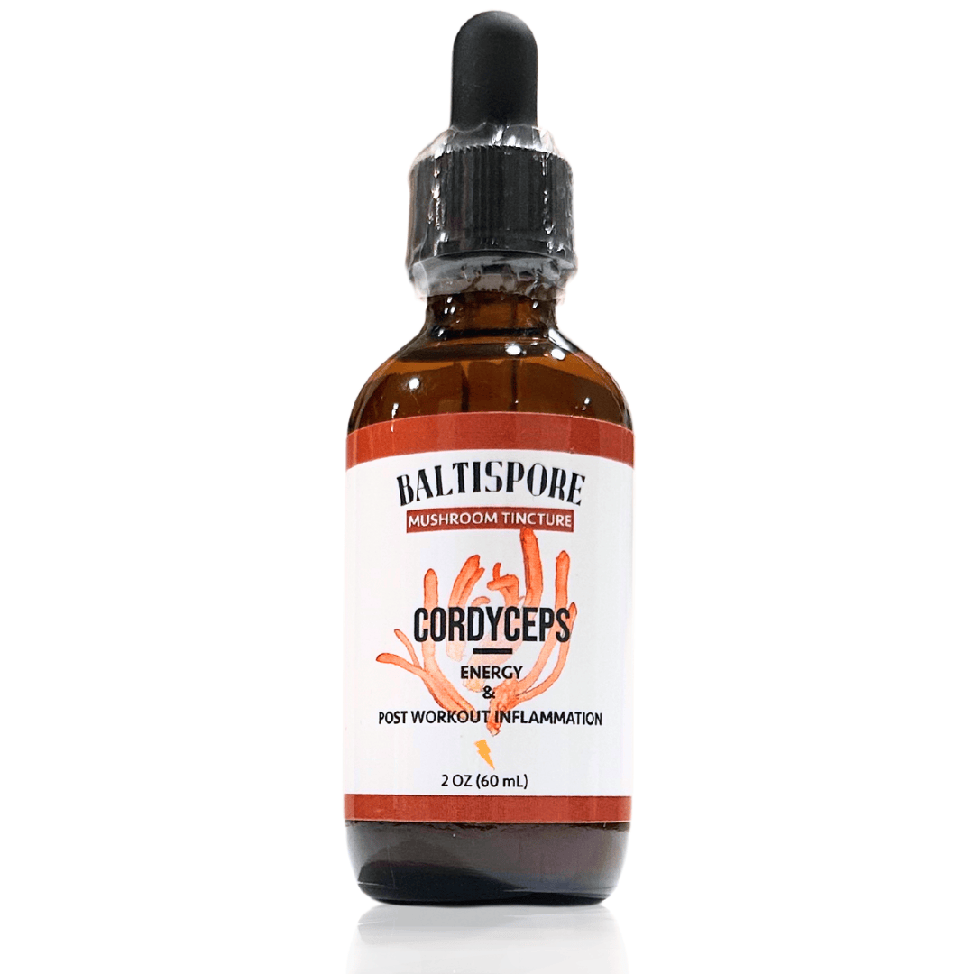 BaltiSpore Tincture Cordyceps Mushroom Tincture