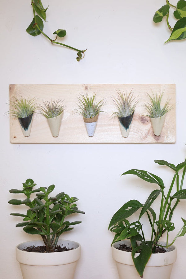 Carter + Rose Carter + Rose, Horizontal Wall Planter