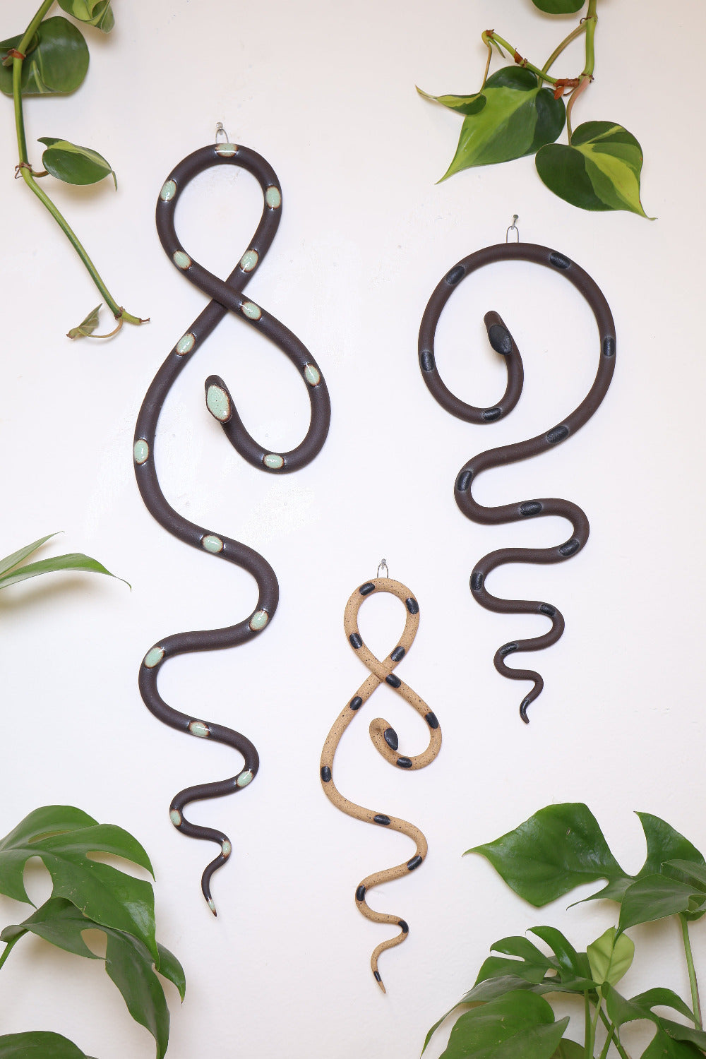 Wall Snake Starter Set
