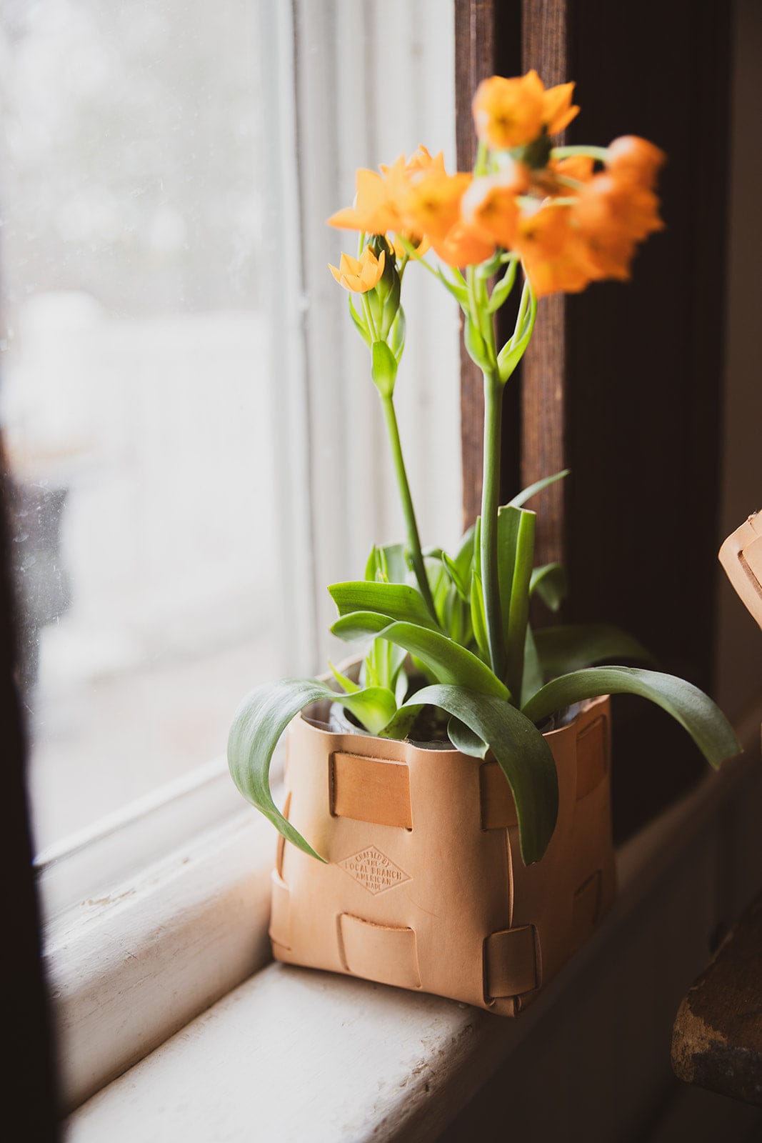 The Local Branch Leather Leather Tabletop Planter  - USA Made