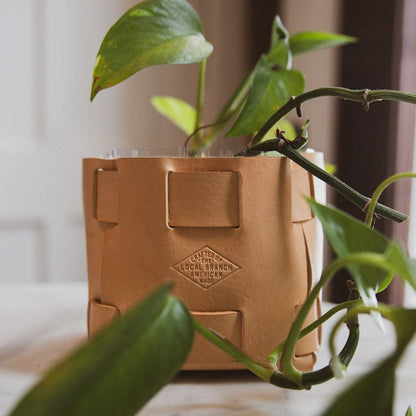 The Local Branch Leather Leather Tabletop Planter  - USA Made