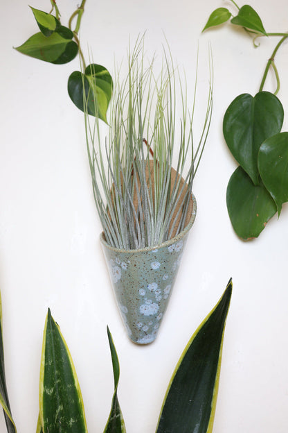 Large Ceramic Wall Planter