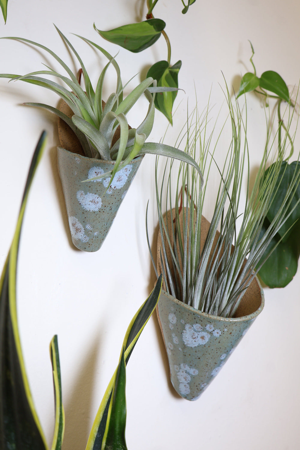 Medium Ceramic Wall Planter