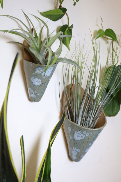 Medium Ceramic Wall Planter