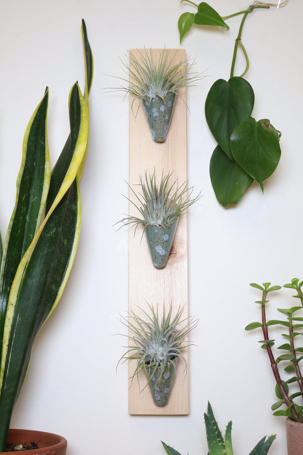 Triple Ceramic Wall Planter